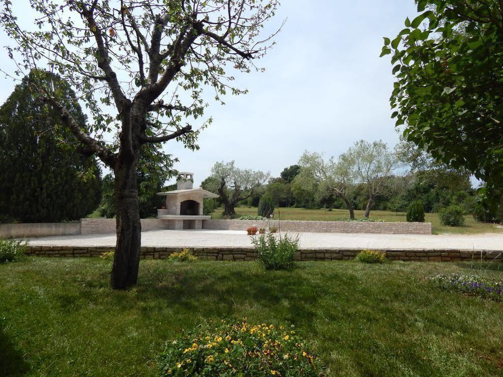 Terranova Apartment